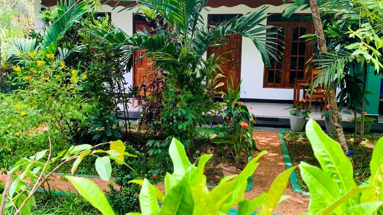 Sigiri Starwing Villa Sigiriya Eksteriør billede